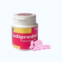 Viên nang Cadipredni điều trị viêm thấp khớp, hen suyễn, lupus ban đỏ hệ thống (chai 500 viên)